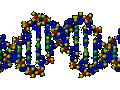 DNA - Chance or evidence of another intelligence?