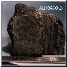 ALH84001 meteorite: From Mars?